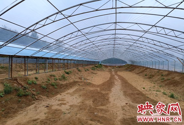 西平县建成河南省首家南美白对虾苗种育苗车间