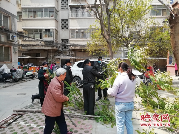 郑州一独居老人小区内种植香椿树挡了邻居采光 无奈寻求帮助