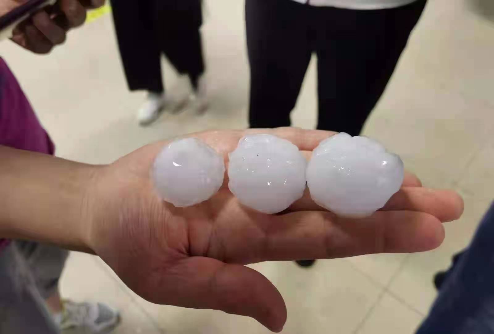 突发信阳市城区上午烈日炎炎下午突降冰雹大如鸡蛋市民惊呼活久见晚上