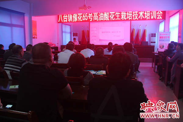 河南省“四优四化”科技支撑计划优质花生专项技术培训会在舞钢举行