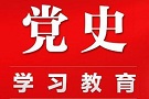 全身心投入党史学习教育（思想纵横）