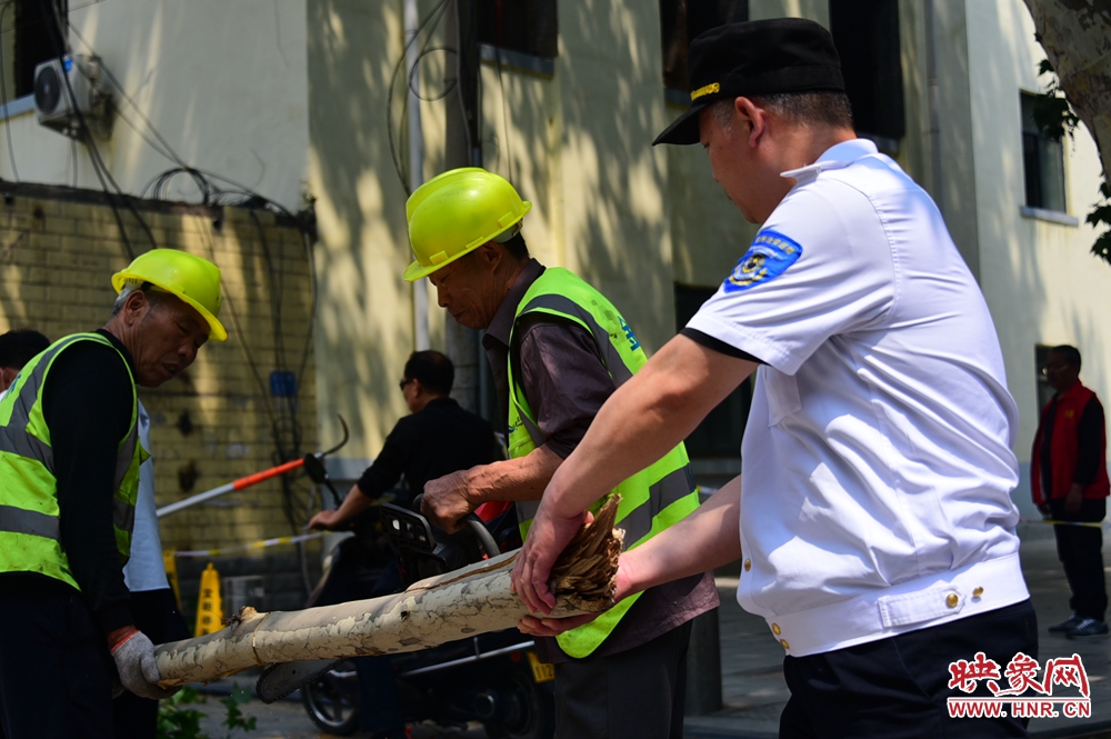 郑州：断树枝悬挂半空影响居民出入 消防、园林接连出去排隐患