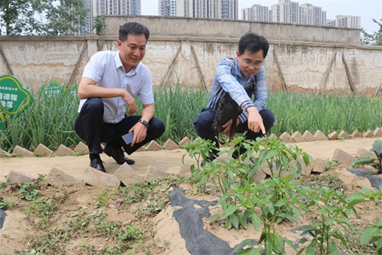 郑州高新区南流小学学生综合素质评价实践调研