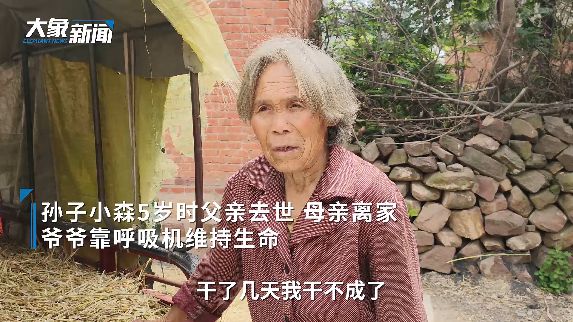 河南七旬奶奶工地干活救孙子
