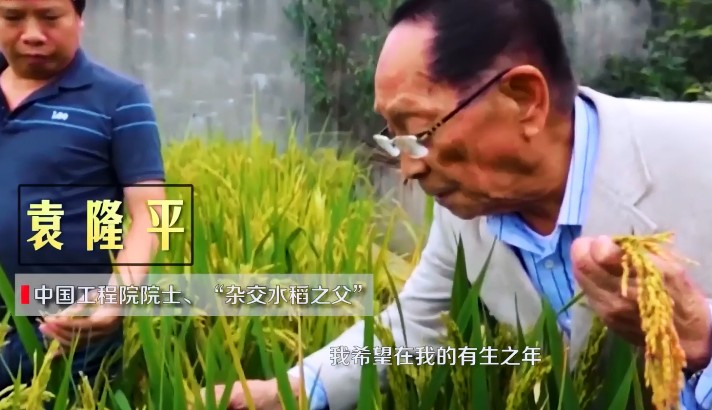 这就是中国院士的精神
