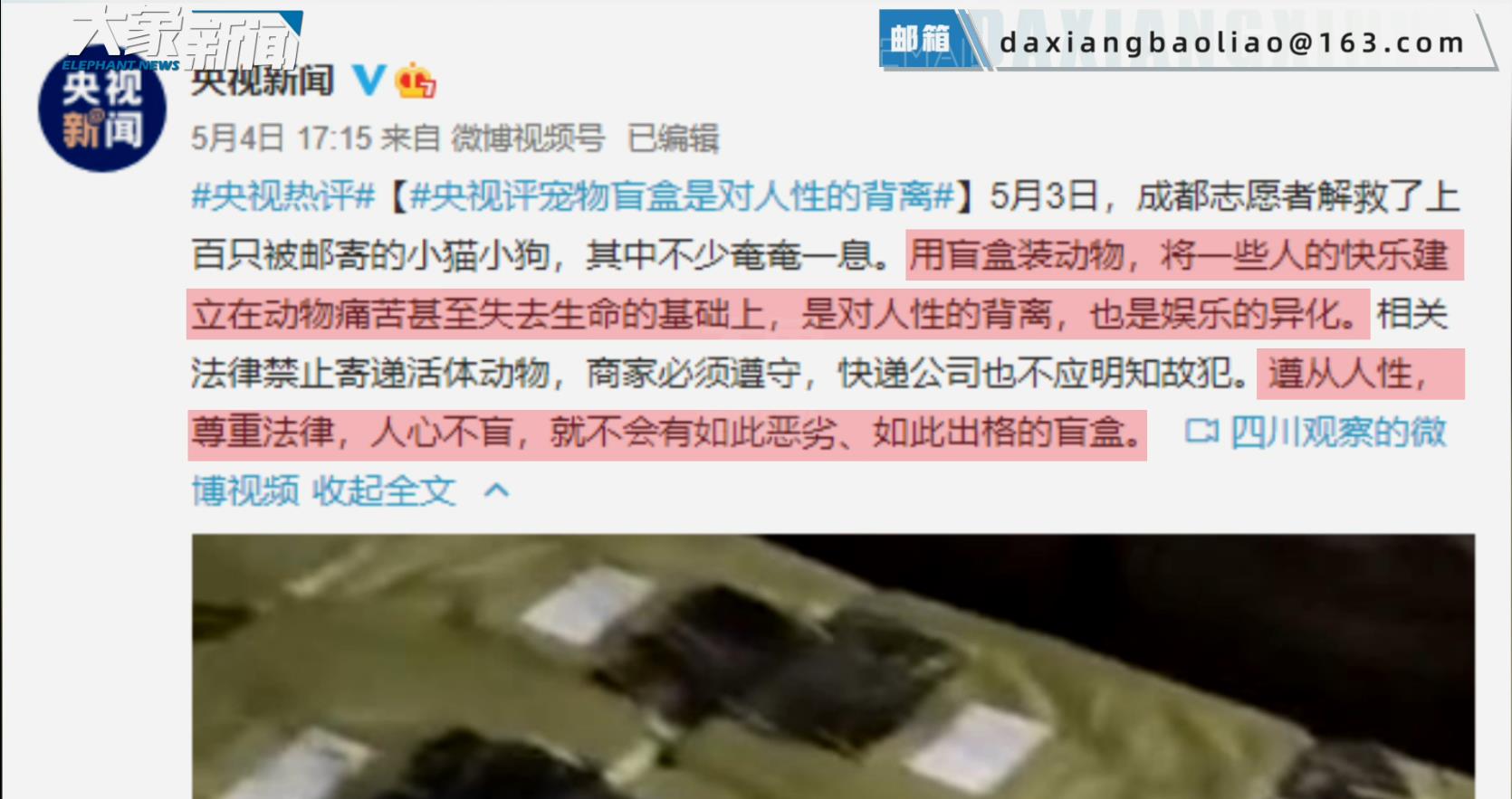 成都“宠物盲盒”暖心一幕，志愿者打地铺轮班照顾狗狗