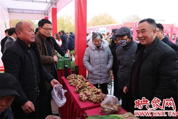 潢川县“林姜套种”模式拓宽产业振兴路