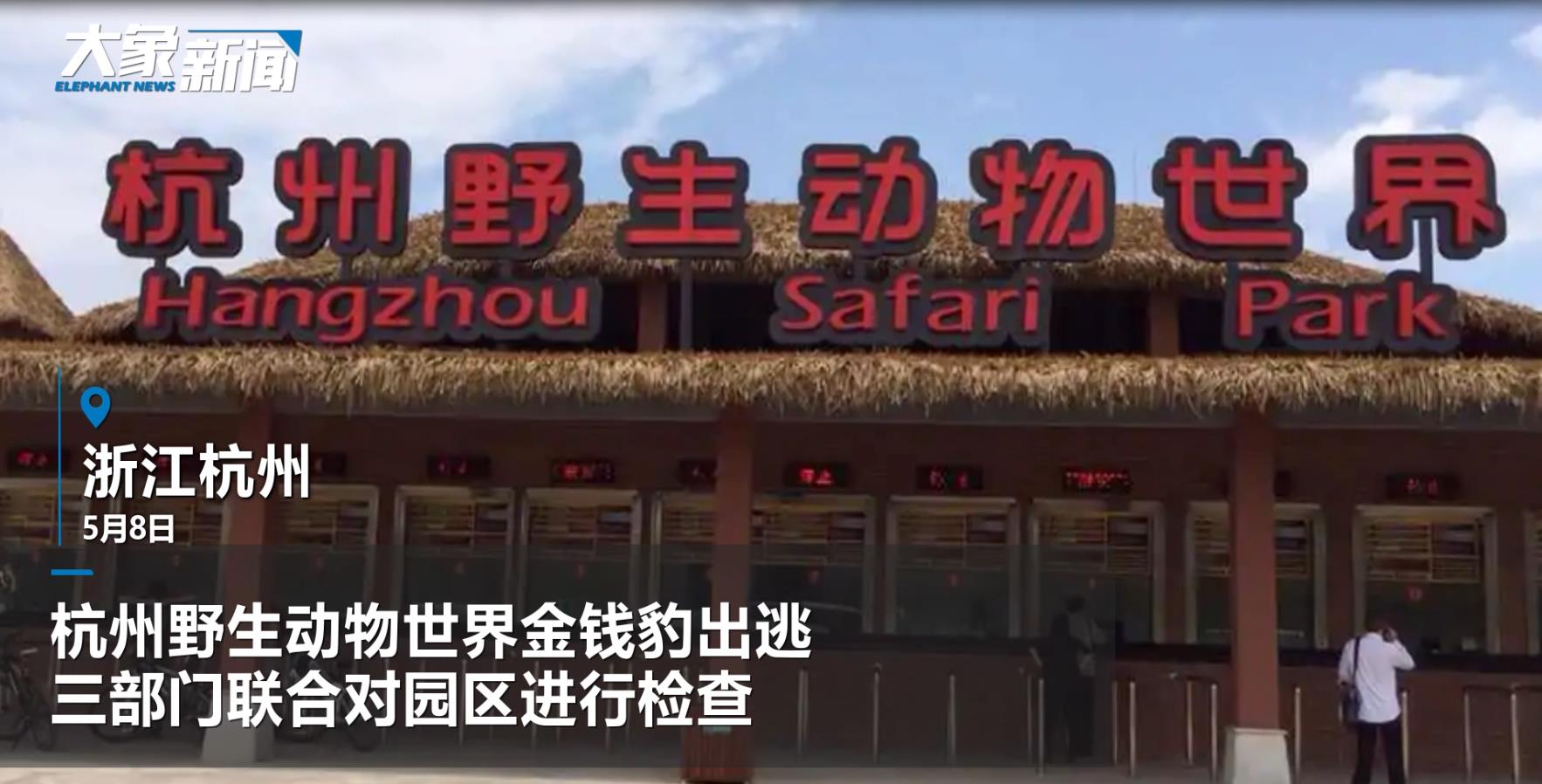 杭州野生动物世界金钱豹已找回两只！3部门联合对园区进行检查