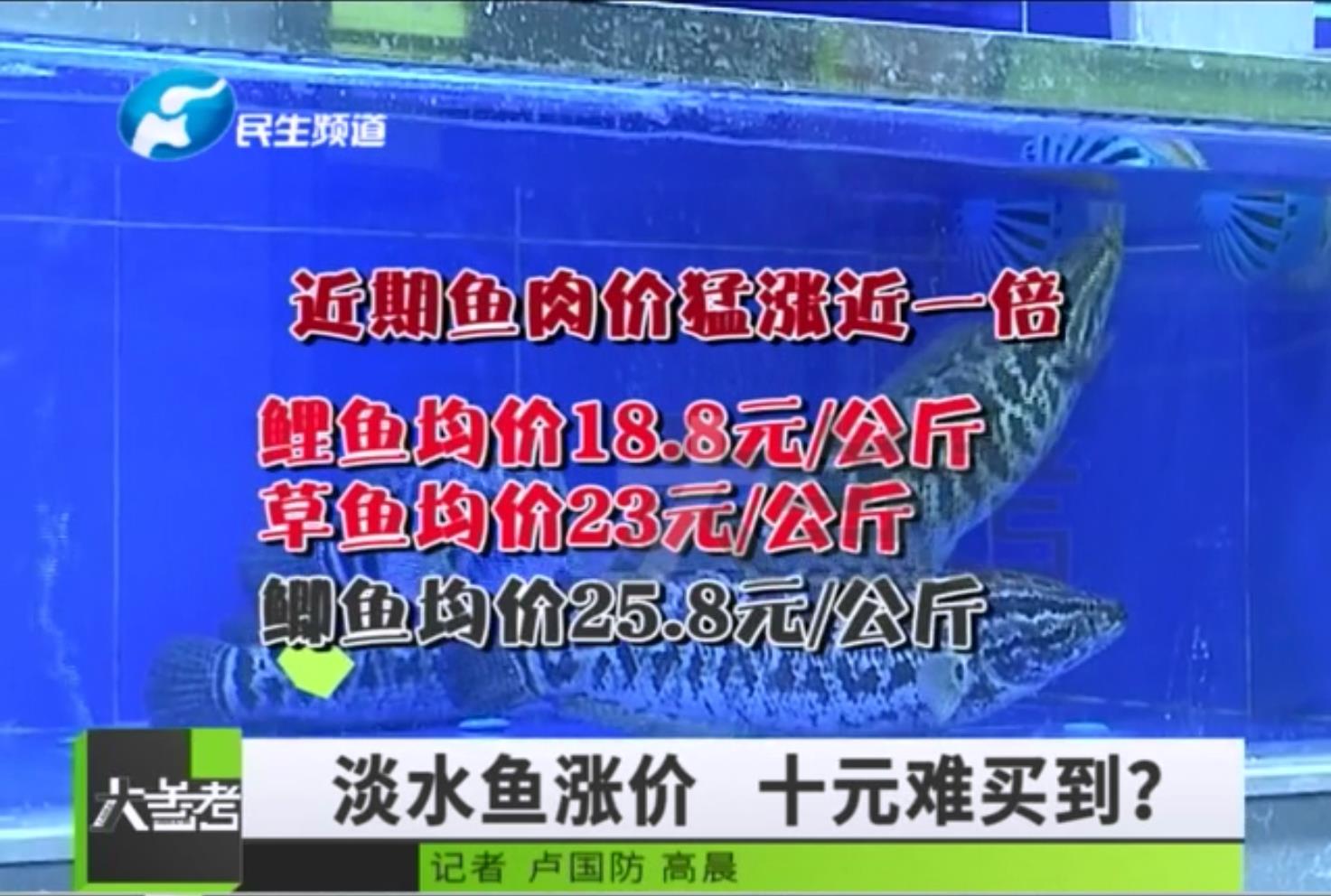 “失控”的鱼价：淡水鱼疯涨，商家解释涨价原因