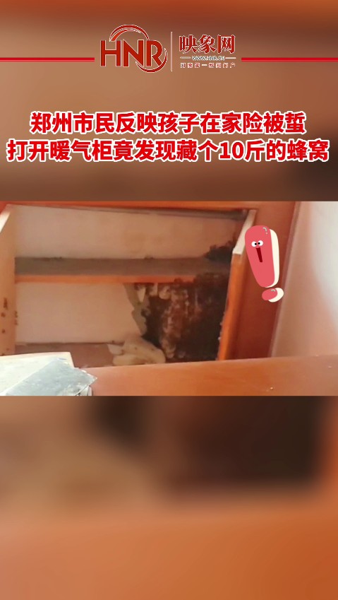 郑州市民反映孩子在家险被蜇 打开暖气柜竟发现藏个10斤的蜂窝