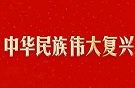 为实现中华民族伟大复兴奠定坚实基础