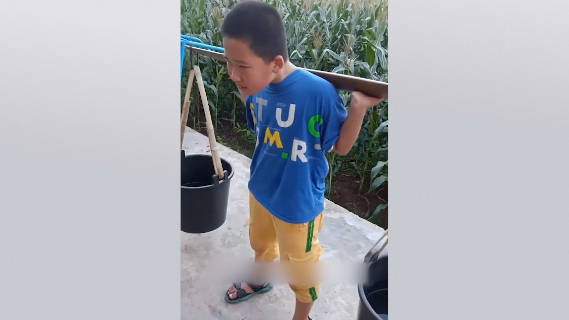 男孩不写作业爸爸让其挑粪效果不错作业也按时完成了