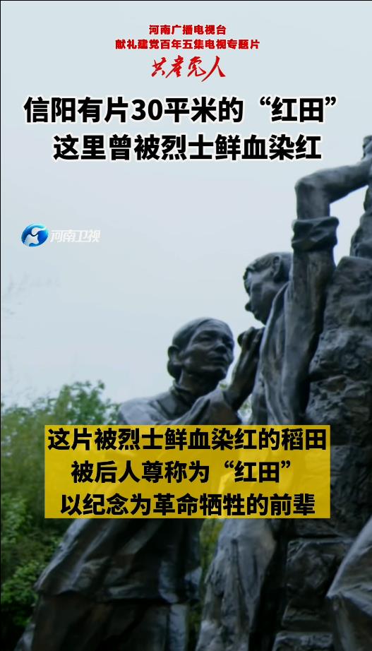 信阳有片30平米的“红田” 这里曾被烈士鲜血染红