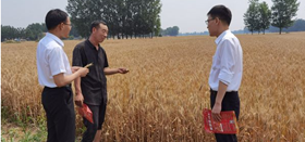 太康农商银行精准助力“三夏”生产