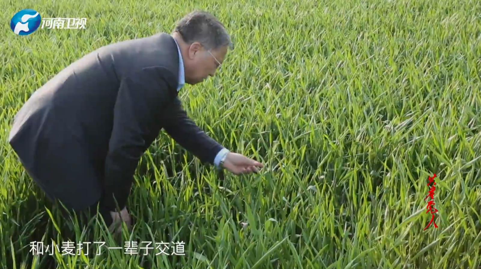 茹振钢:让大家吃出餐桌上最美的幸福感