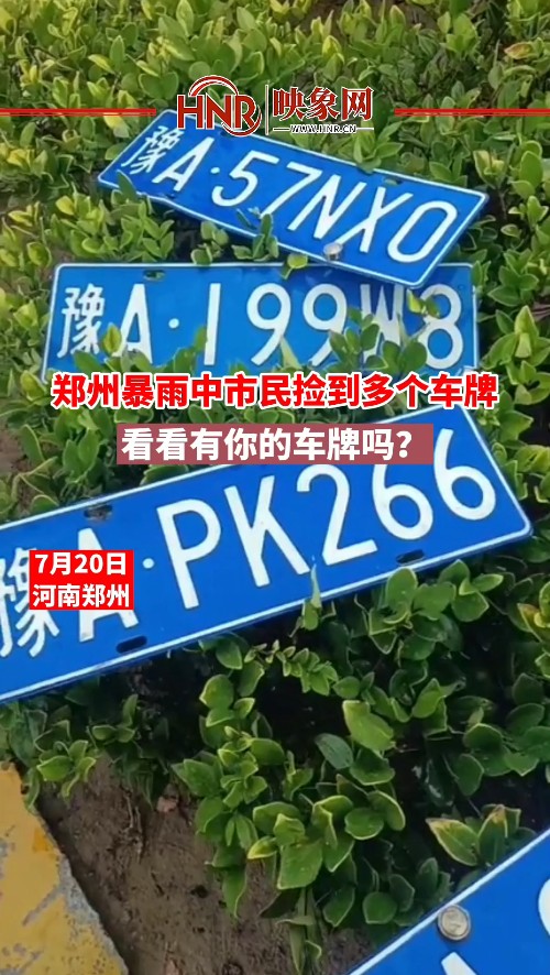 郑州暴雨中市民捡到多个车牌 看看有你的车牌吗？