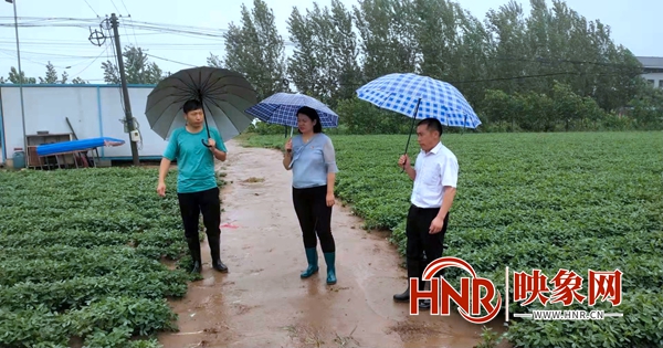 开封示范区杏花营农场机关干部分赴防汛一线