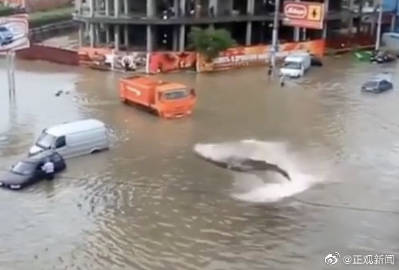 郑州海洋馆的鲨鱼跑出来了？关于郑州暴雨的这些消息都别信
