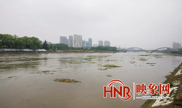 ��ȫ���ѣ�ɳ������ˮ�⿪ʼй�� �Ͻ�Χ�ۡ���Ϸ