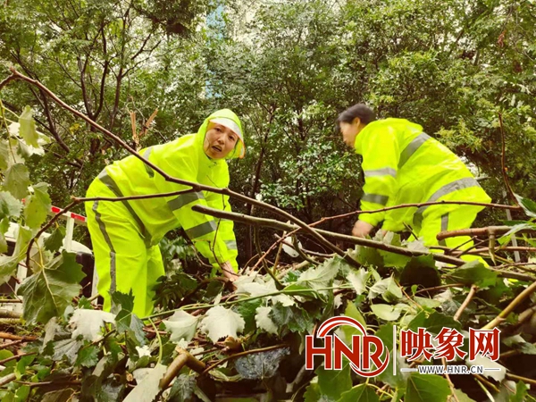 ���������԰�����ա�Ů���ӡ������ǵ�Ա����������