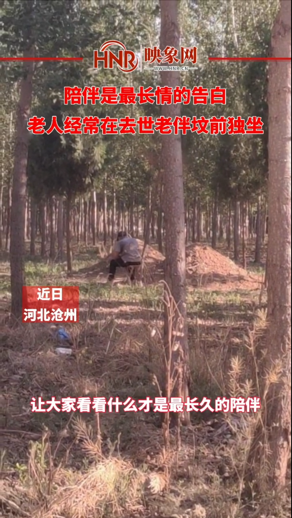 陪伴是最长情的告白 老人经常在去世老伴坟前独坐