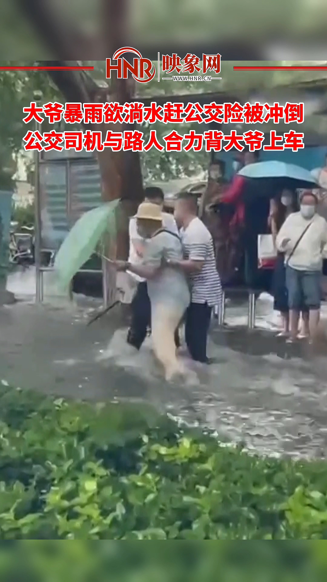 大爷暴雨欲淌水赶公交险被冲倒 公交司机与路人合力背大爷上车