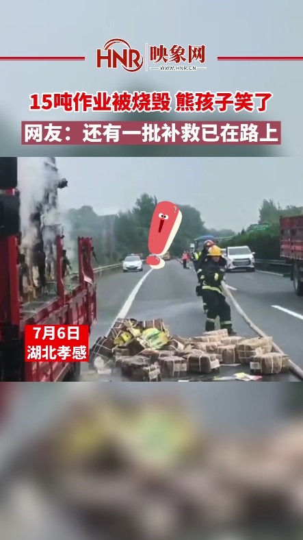 15吨作业被烧毁 熊孩子笑了 网友：还有一批补救已在路上