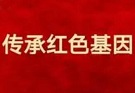 在弘扬伟大建党精神中传承红色基因