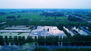 淮滨县：淮南湿地初秋景色美若油画