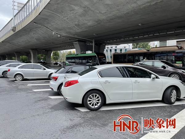 小心被罚 郑州私家车主误将导流线当成免费停车线