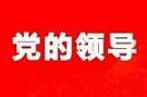 党的领导是中国特色社会主义法治之魂