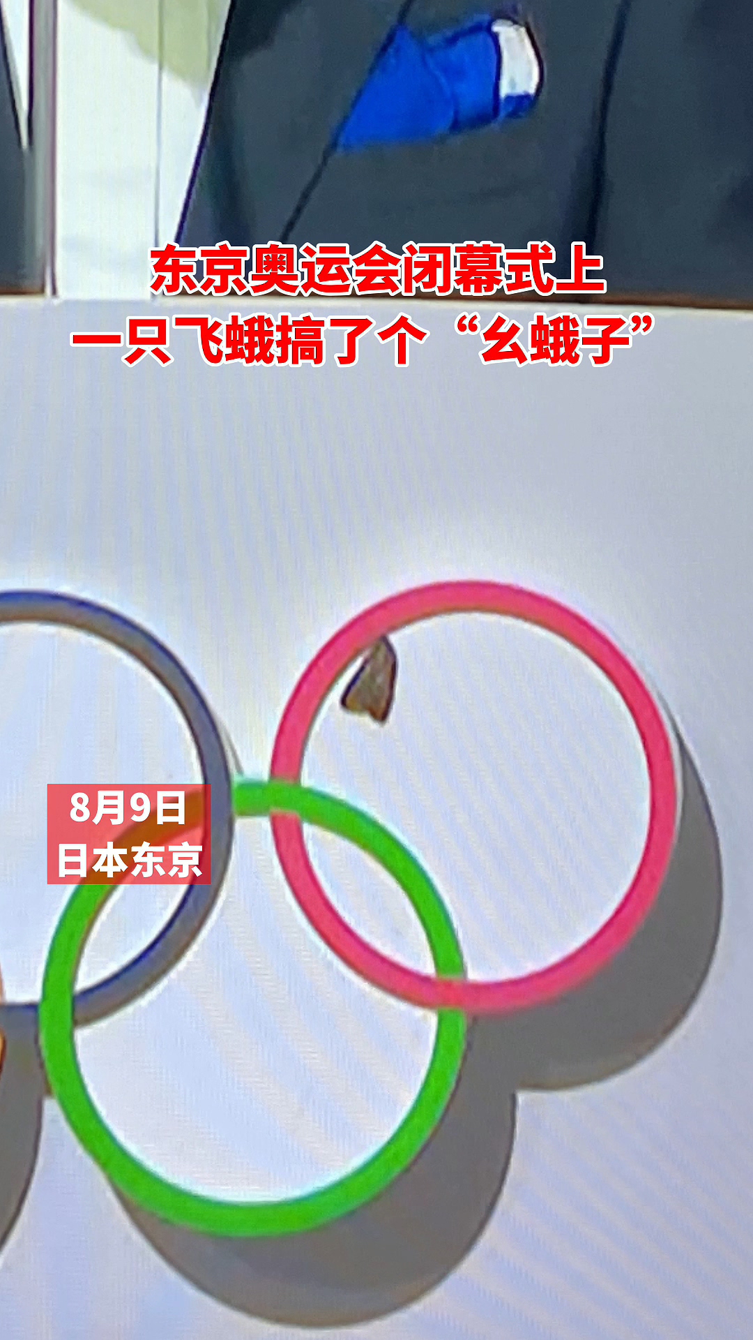 东京奥运会闭幕式上 一只飞蛾搞了个“幺蛾子”