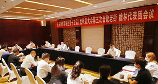 驻马店市驿城区人大代表热议工作报告