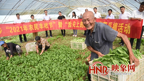杞县：一村一品一经济 农民生活甜如蜜