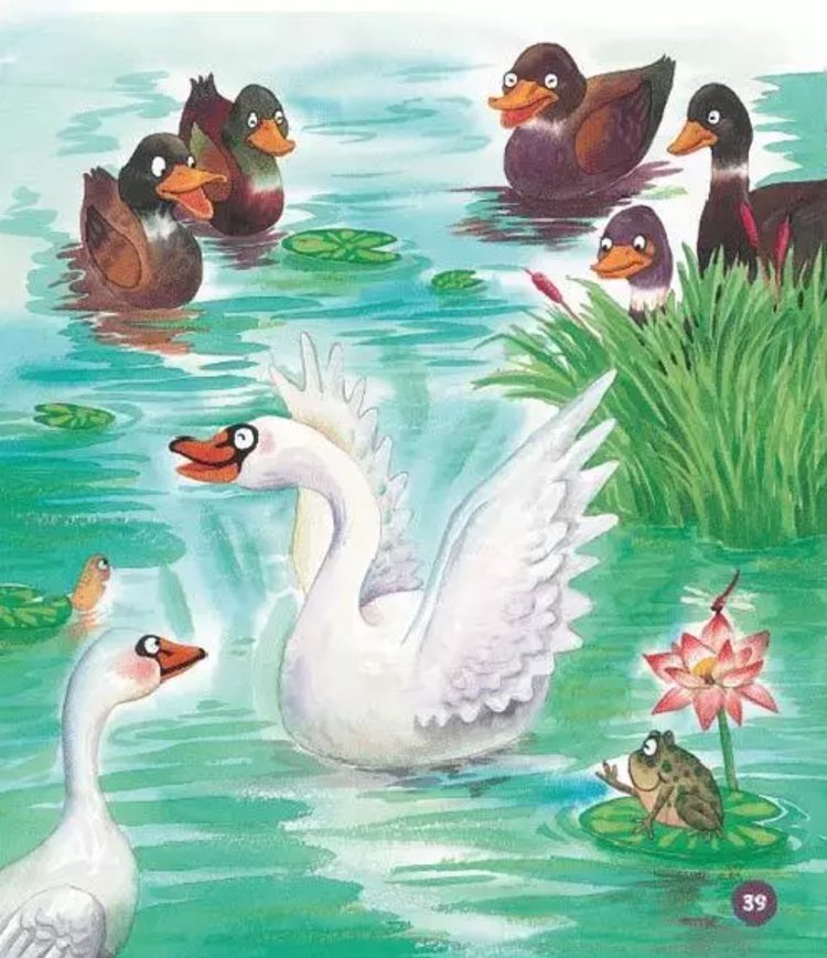 绘本插图互动话题丑小鸭最后变成了什么呢?