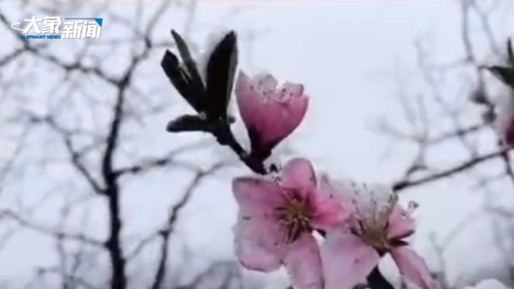 下 雪 了 新密伏羲山收获入冬第一场雪