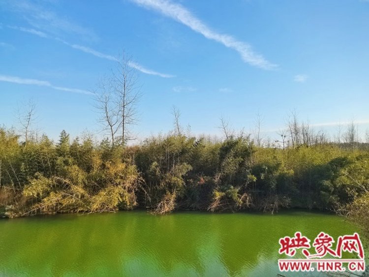 潢川双柳树镇提升农村人居环境激发美丽乡村新活力