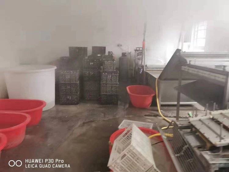 河南修武:鹌鹑蛋加工作坊污染严重被举报，处理敷衍了事惹民愤