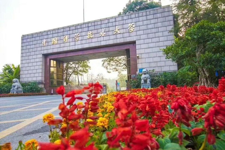 中国科学技术大学2020年强基计划招生简章