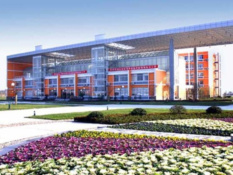 上海思博职业技术学院2020年全国统考招生章程
