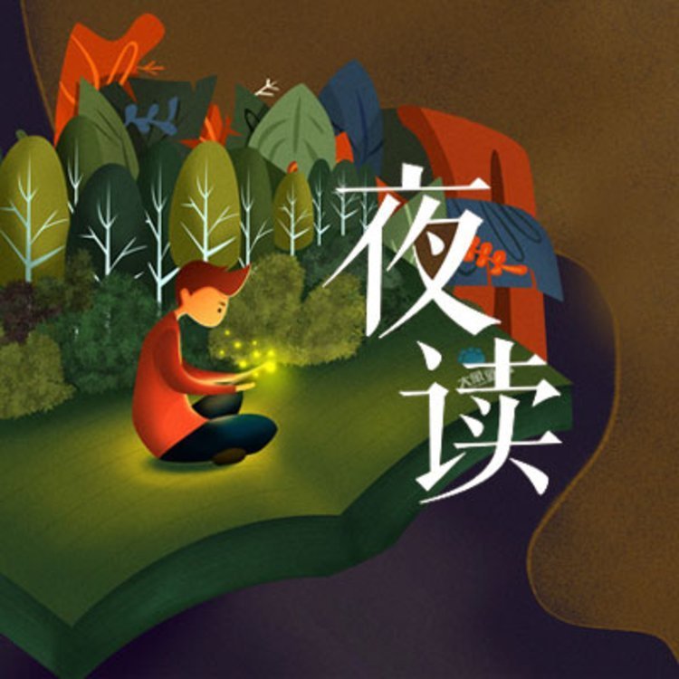 夜读|不迁怒,是一个人的基本素养(主播:丁适)