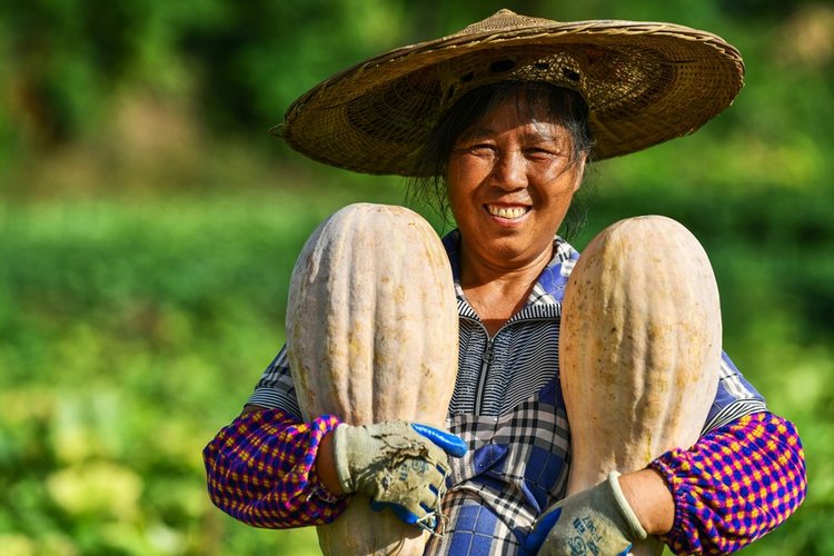 The War On Poverty A Chinese Saga The War On Poverty A Chinese Saga