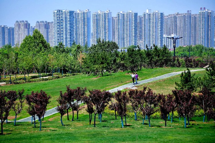 打造15分钟生活圈洛阳中心城区小游园总数达到278处