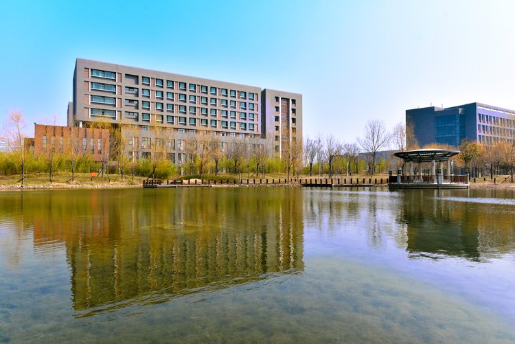 河南财经政法大学校园春景春光无限好奋进正当时