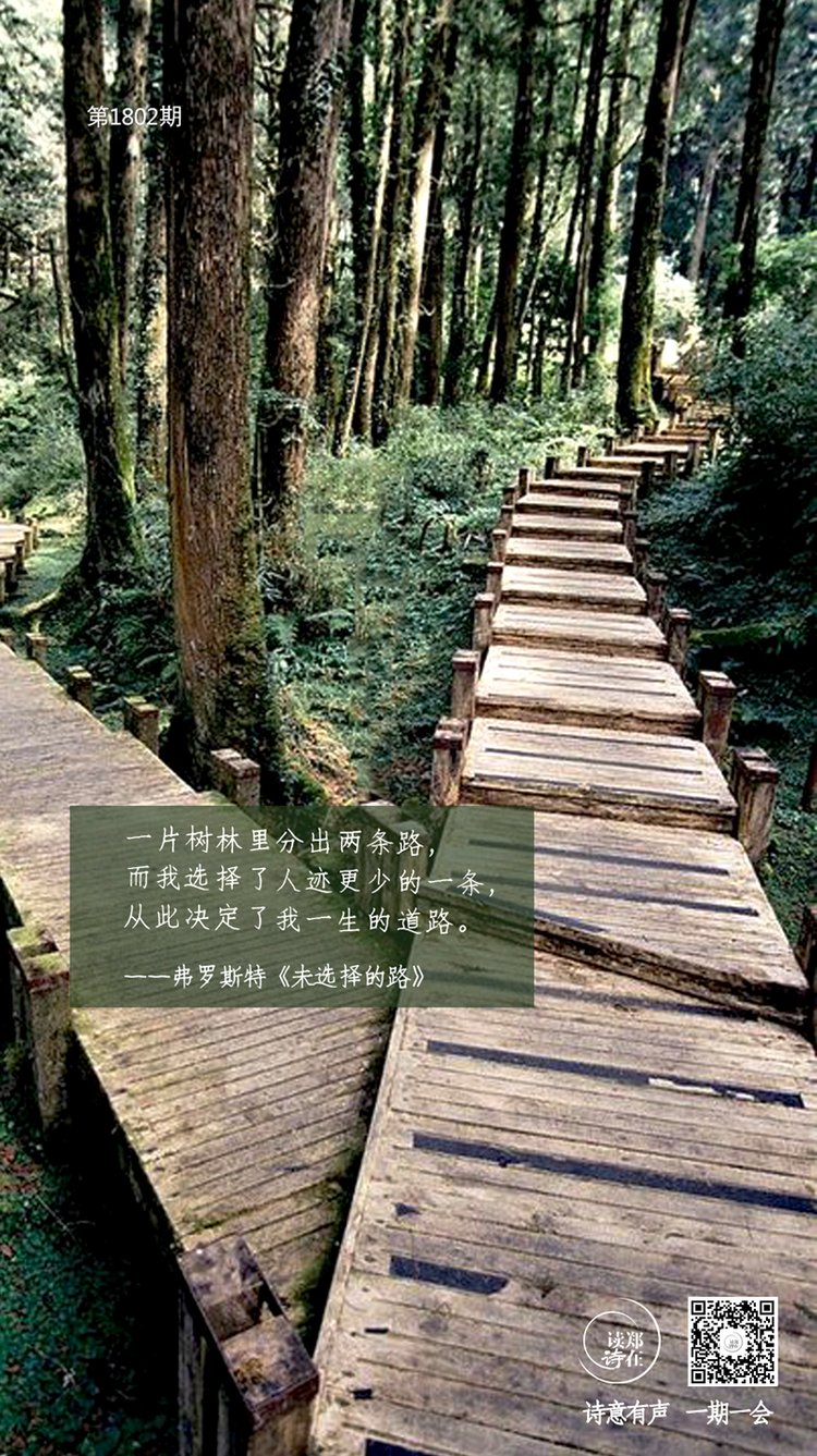 王腾霄美编 | 陈cc-诗意心情-本图片来源于网络文字 | 陈cc《未选 