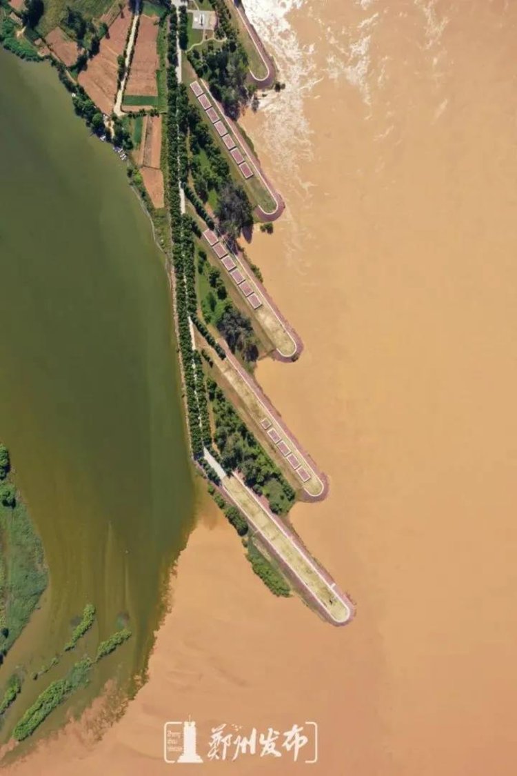 一路尽看黄河美沿黄生态廊道郑州段5月初通车