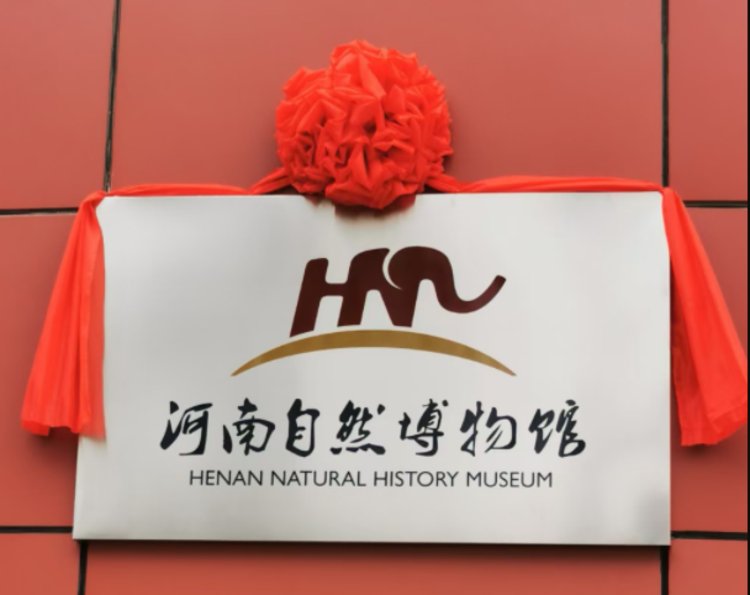 河南首家国家级自然博物馆今日成立