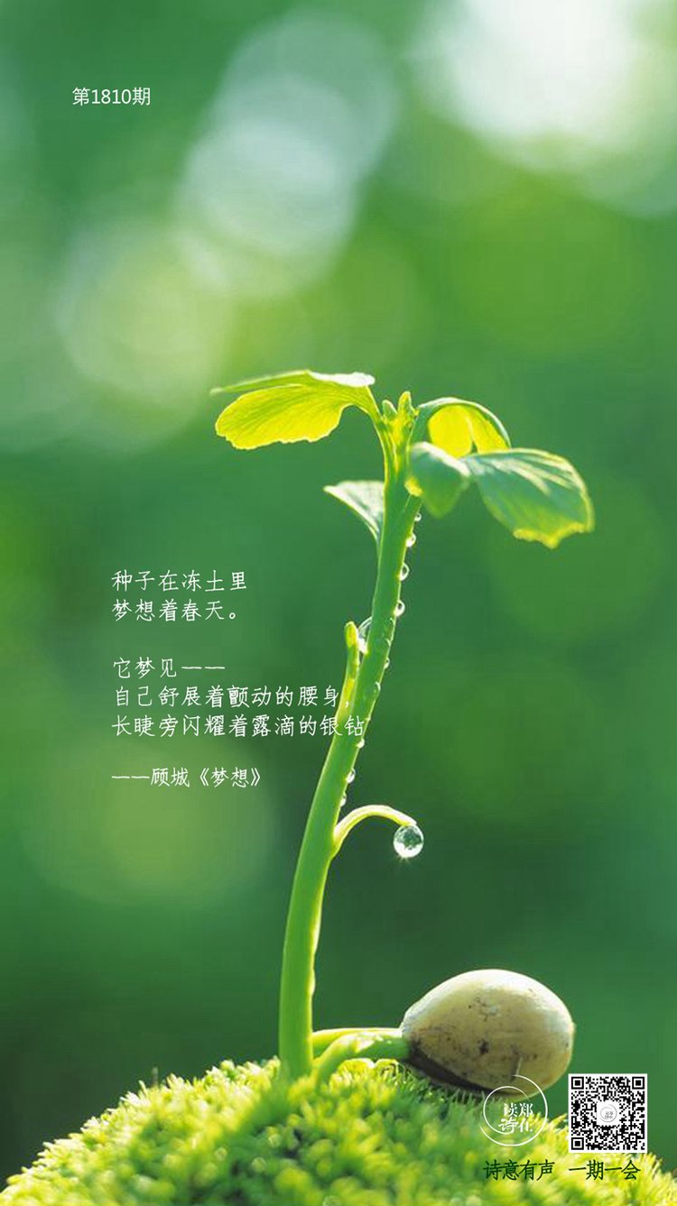 在万物生长的季节里种下一粒希望的种子郑在读诗