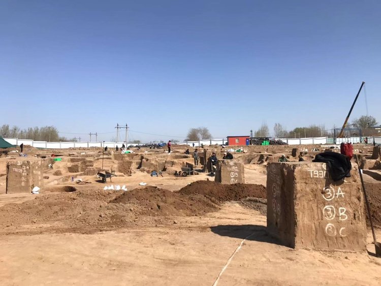 安阳辛店遗址考古人员发现新中国成立后最完整殷商白陶02完整度高达