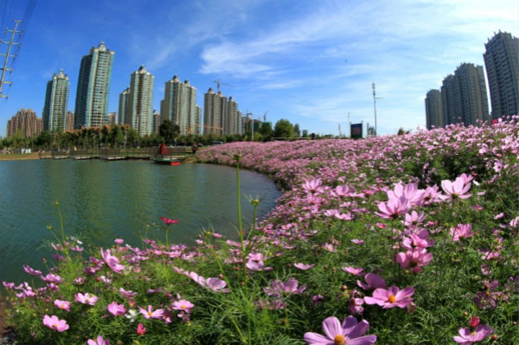 广揽八方英才共筑首善东区许昌市东城区今年19个城建社会事业项目找